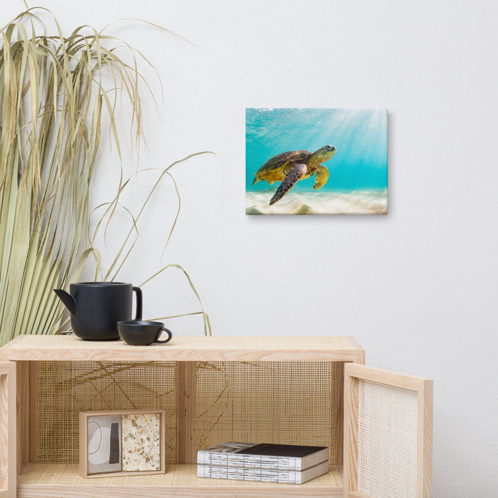 Hawaiian Green Sea Turtle Sea Animal Wildlife Photograph Canvas Wall Art Print, 12" X 16"
