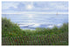 "Beach of Dreams" Digital Paper Print by Diane Romanello, 20"x14"