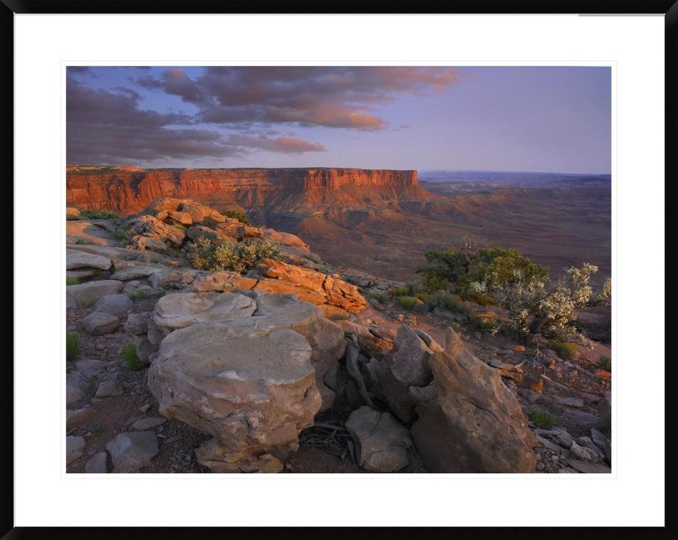 View From The Green River Overlook, Canyonlands National Park, Utah, 38"x30"