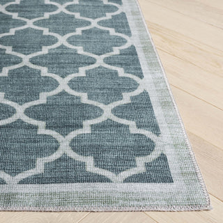 Safavieh Arizona Machine-Washable Collection ARZ172 Rug, Green, 8'x10'