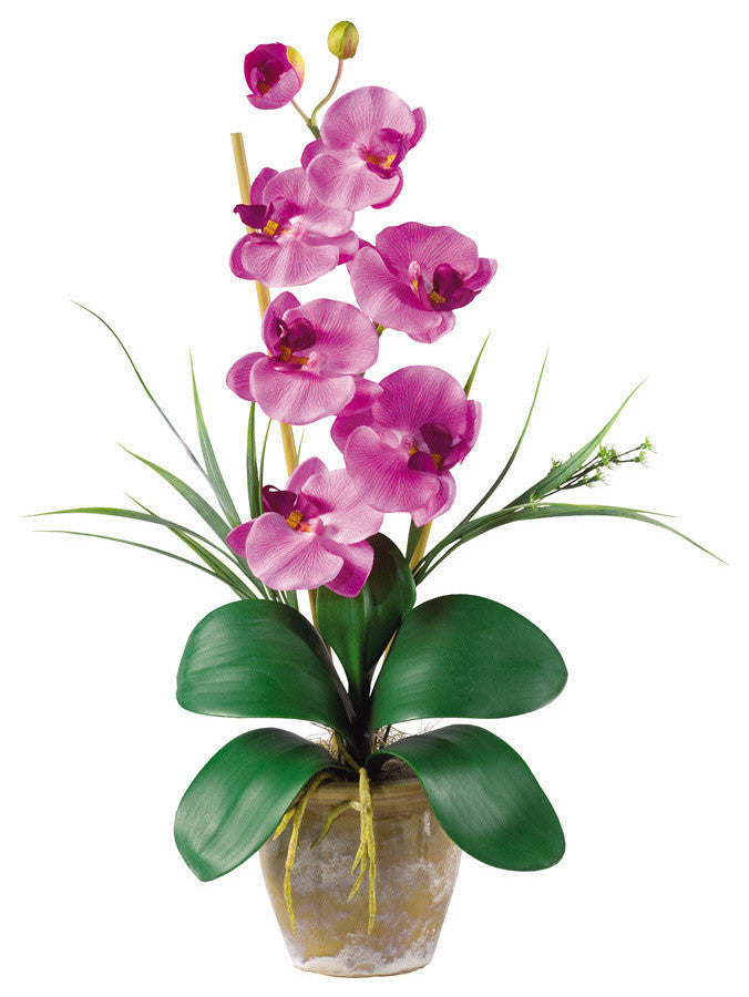 Single Stem Phalaenopsis Silk Orchid Arrangement, Mauve