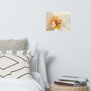 Eye of Peony Nature Photography, Floral Unframed Wall Art Print, 11" X 14"