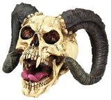 Skull of The Horned Beast