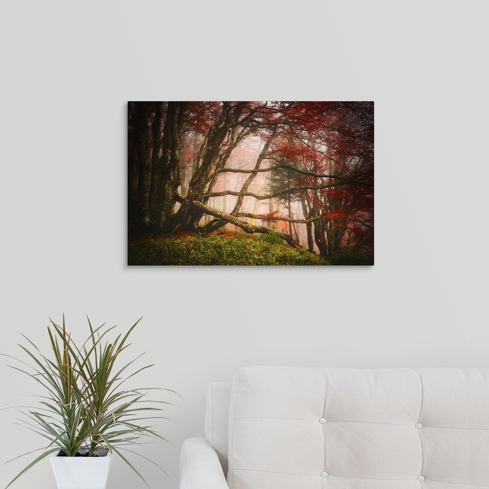 "Mysterious Wood" Wrapped Canvas Art Print, 24"x16"x1.5"