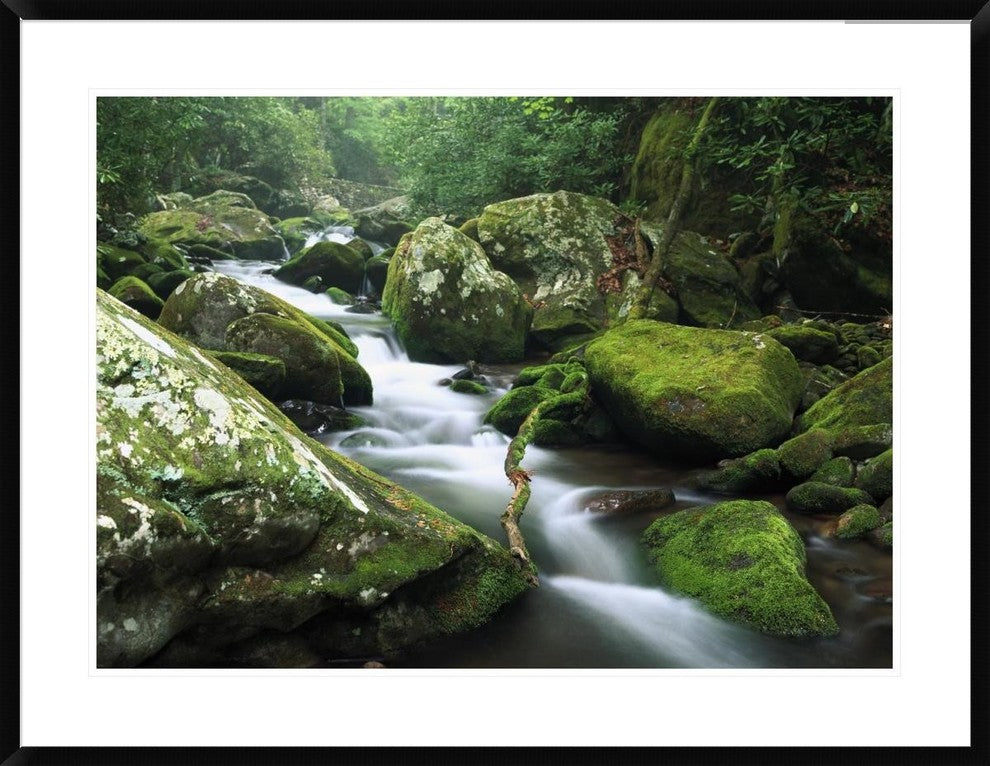 Roaring Fork River, Great Smoky Mountains National Park, Tennessee, 38"x30"