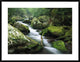 Roaring Fork River, Great Smoky Mountains National Park, Tennessee, 38"x30"