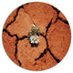 Surviving Flowers On Drought Land, Landscape Round Metal Wall Art, 36"