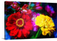 "It's So Good To Be Alive" Wrapped Canvas Art Print, 36"x24"x1.5"
