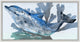 Under The Sea 9, Giclee Reproduction Artwork