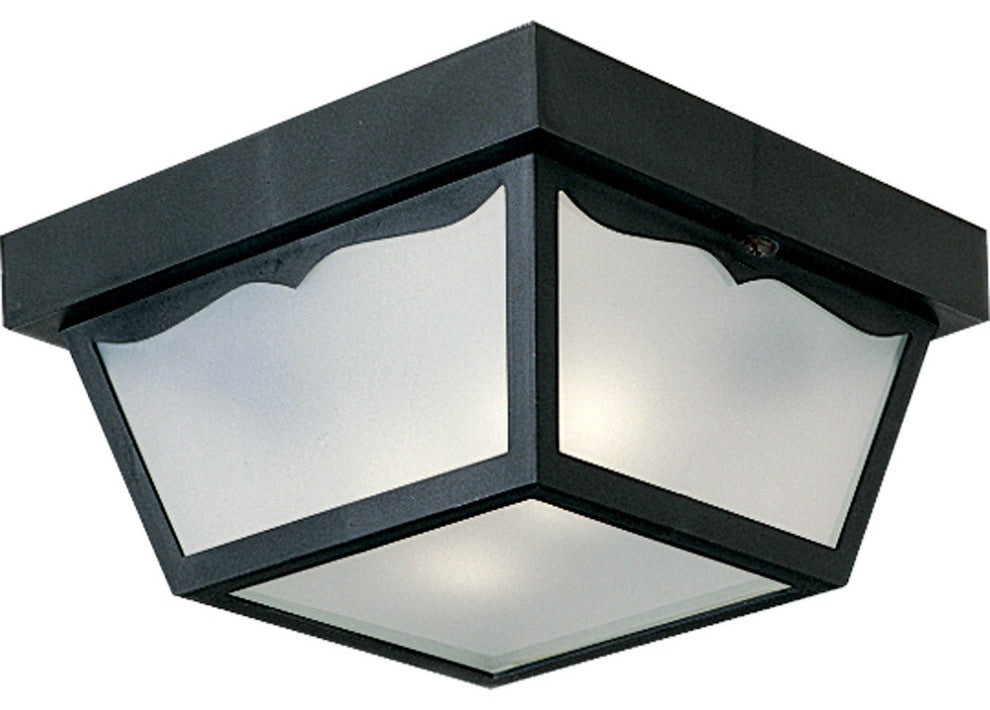 2-Light 10-1/4-in Flush Mount Indoor/Outdoor Light, Black