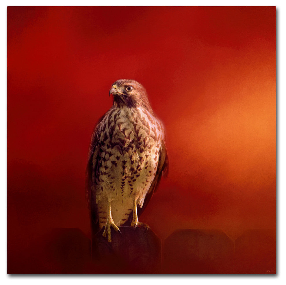 Jai Johnson 'Hawk On A Hot Day' Canvas Art, 35 x 35