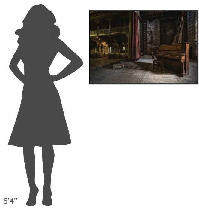 "Show, Interrupted" Framed Canvas Giclee by Adrian Popan, 37x25"