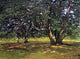 Claude Oscar Monet Fontainebleau Forest, Gallery Wrapped Canvas Print, 21"x28"