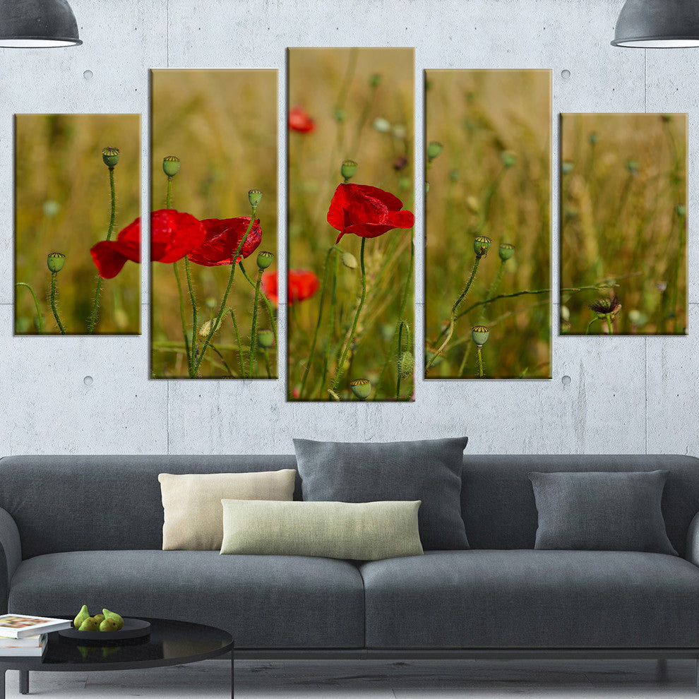 Red Poppy Flower Field Background, Flower Canvas Wall Art, 60"x32", 5 Panels