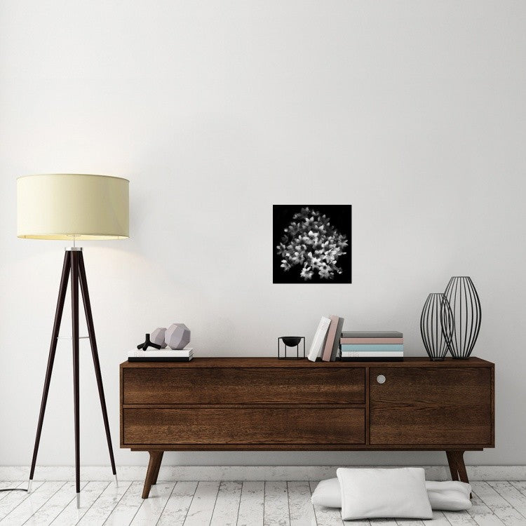 "Early Sensation" Stretched Canvas Giclee by Yvette Depaepe, 18"x18"