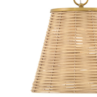 Lark Brynn Medium Pendant, Lacquered Brass