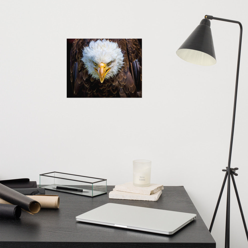 Bald Eagle Portrait Close-up Loose Wall Art Print, 11" X 14"