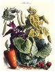 Vegetable Medley Poster, 20"x30", Paper Poster