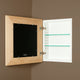 14"x18" Fox Hollow Furnishings Mirrored Medicine Cabinet, Unfinished Raised Edge