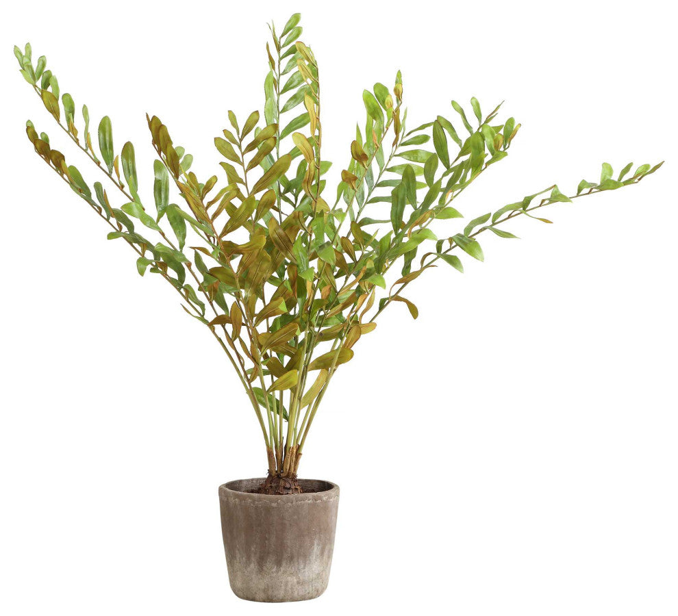 Uttermost Zamia Palm Accent, Planter