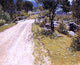 John Joseph Enneking Sandy Road Wall Decal