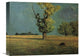 "Peyrelebade Landscape" Stretched Canvas Giclee by Odilon Redon, 16"x12"