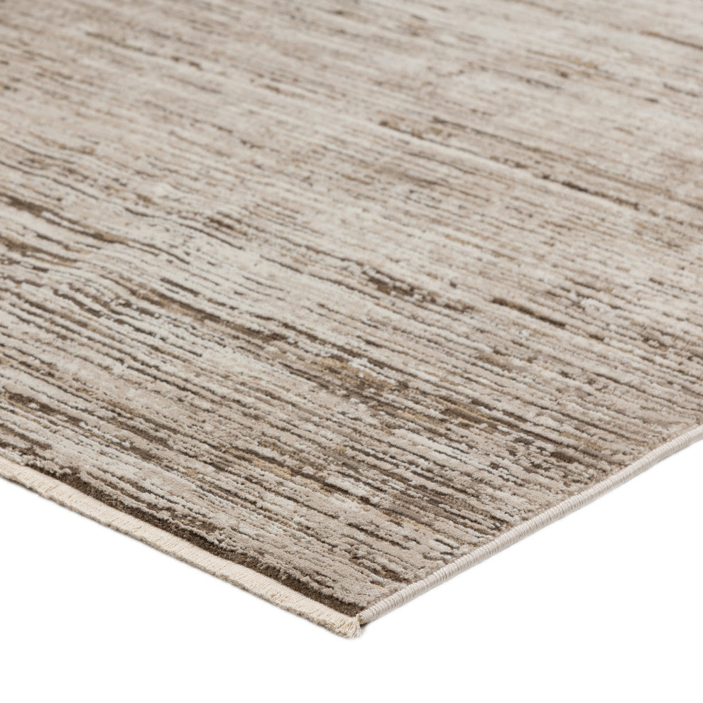 Dalyn Denizi DZ1 Mocha 9'x13'2" Rug
