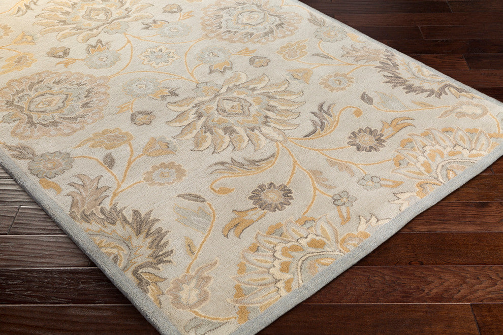 Caesar Traditional Light Gray, Khaki Area Rug, 2'x3'