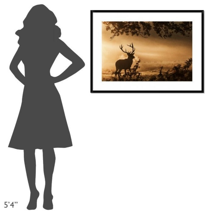 "Untitled" Framed Digital Print by Radojica Jevric Fotorax, 38"x28"