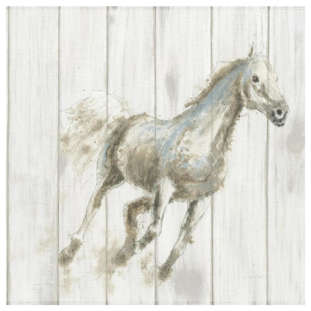 "Stallion I on Birch" Digital Paper Print by James Wiens, 32"x32"