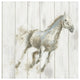"Stallion I on Birch" Digital Paper Print by James Wiens, 32"x32"