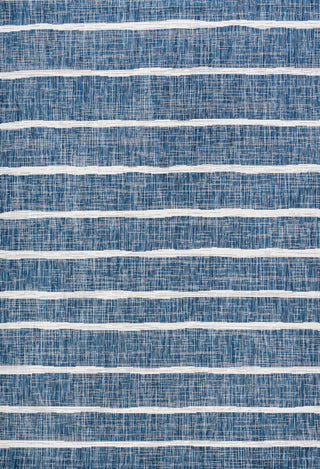 Colonia Berber Stripe Indoor/Outdoor Area Rug