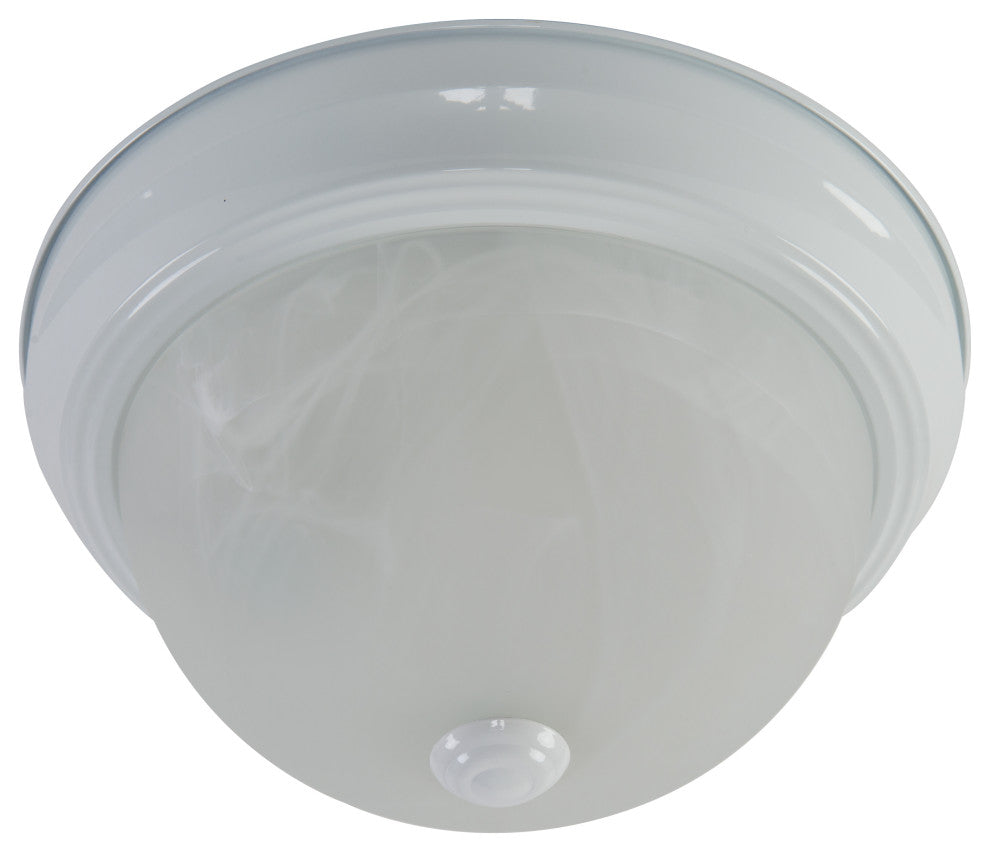 11" Incandescent Overhead Light