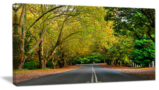 "Road Through Stunning Greenery" Landscape Art Print Canvas, 40"x20"