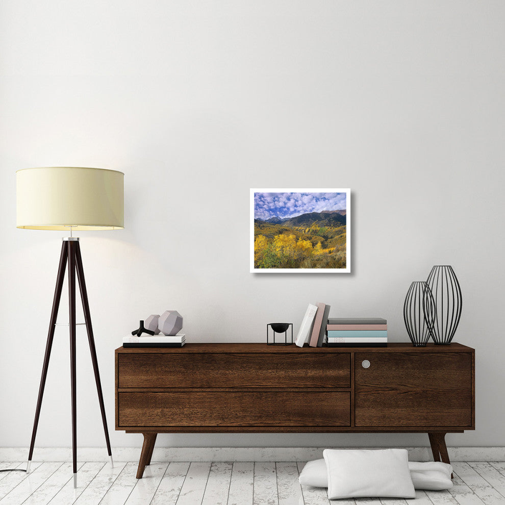 "Quaking Aspen in autumn, Colorado" Print by Tim Fitzharris, 24"x20"