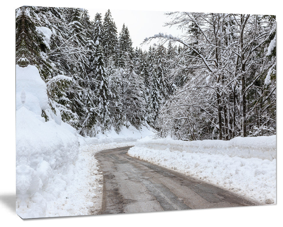 Foggy Winter Road in Slovenia, Large Landscape Canvas Art, 60"x28"