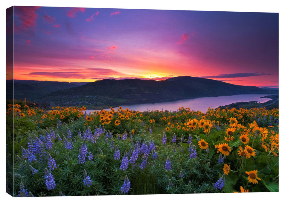 Epic Graffiti "Paradise Garden" by Jesse Estes, Giclee Canvas Wall Art, 40"x60"