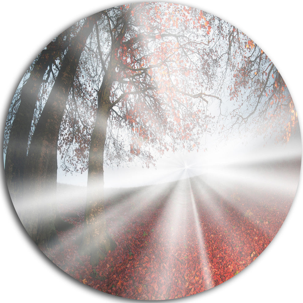 Silver Sun Rays To Foggy Forest, Landscape Photo Disc Metal Art, 38"