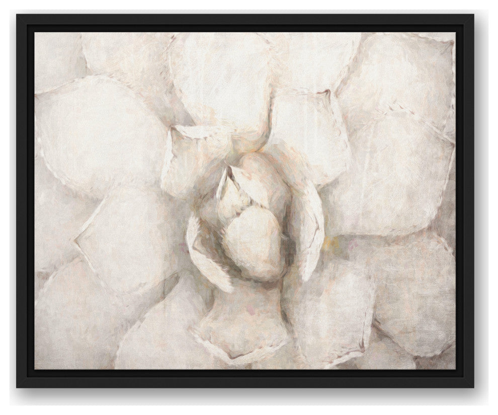 Choppy Painted Succulent 16x20 Black Floating Framed Canvas