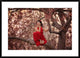 "Dreams" Framed Digital Print by Katie Andelman, 38x27"