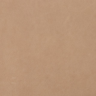 Fae Chair-Palermo Nude