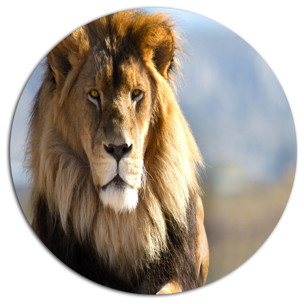 Fierce Face Of King Of The Wild, African Round Metal Wall Art, 36"