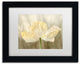 Cora Niele 'Sunshine Poppy' Matted Framed Art