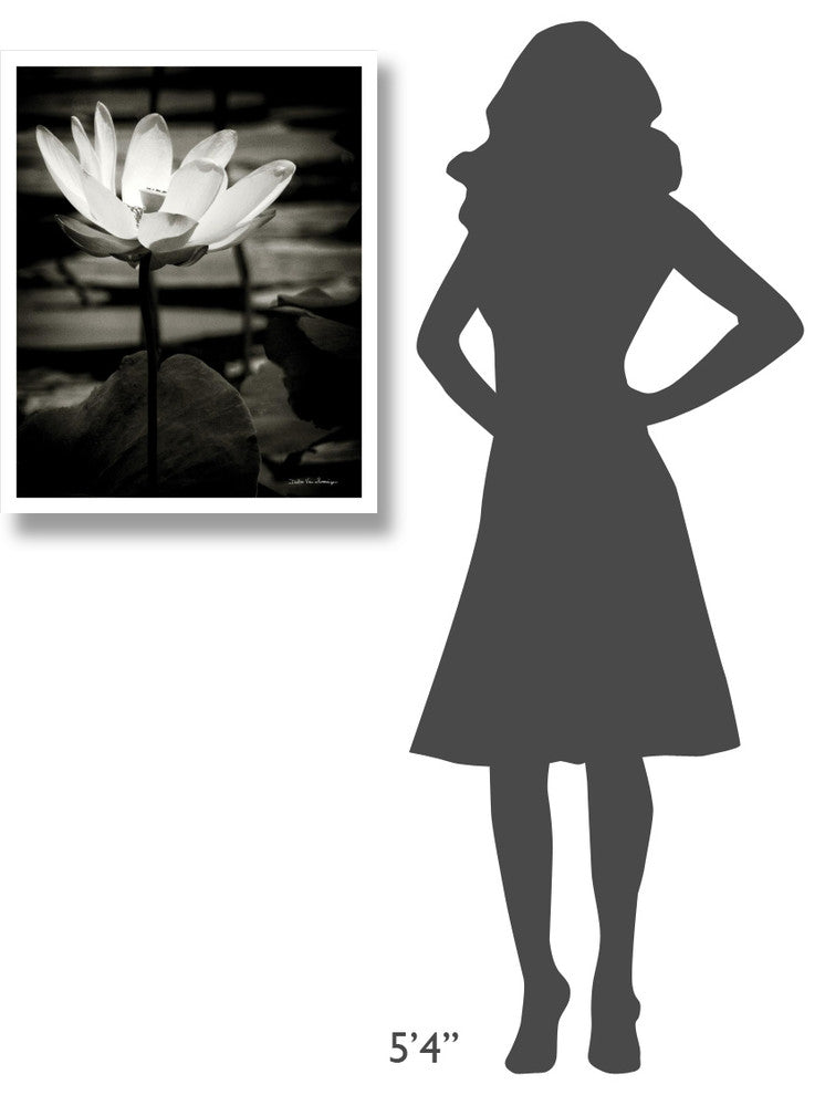 "Lotus Flower VIII" Digital Paper Print by Debra Van Swearingen, 24"x30"