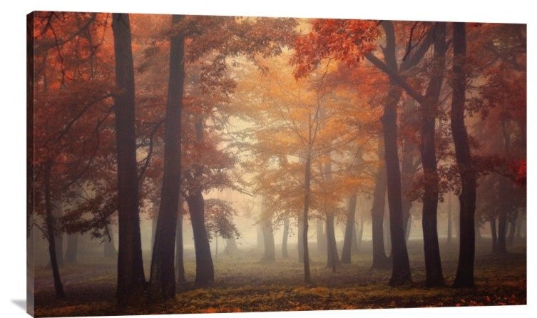 "Feel" Stretched Canvas Giclee by Ildiko Neer, 36x22"