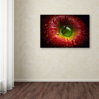 Aida Ianeva 'Red Apple' Canvas Art, 24 x 16