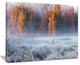 "Grey Hoarfrost Design By Winter" Landscape Print Wall Art, 20"x12"