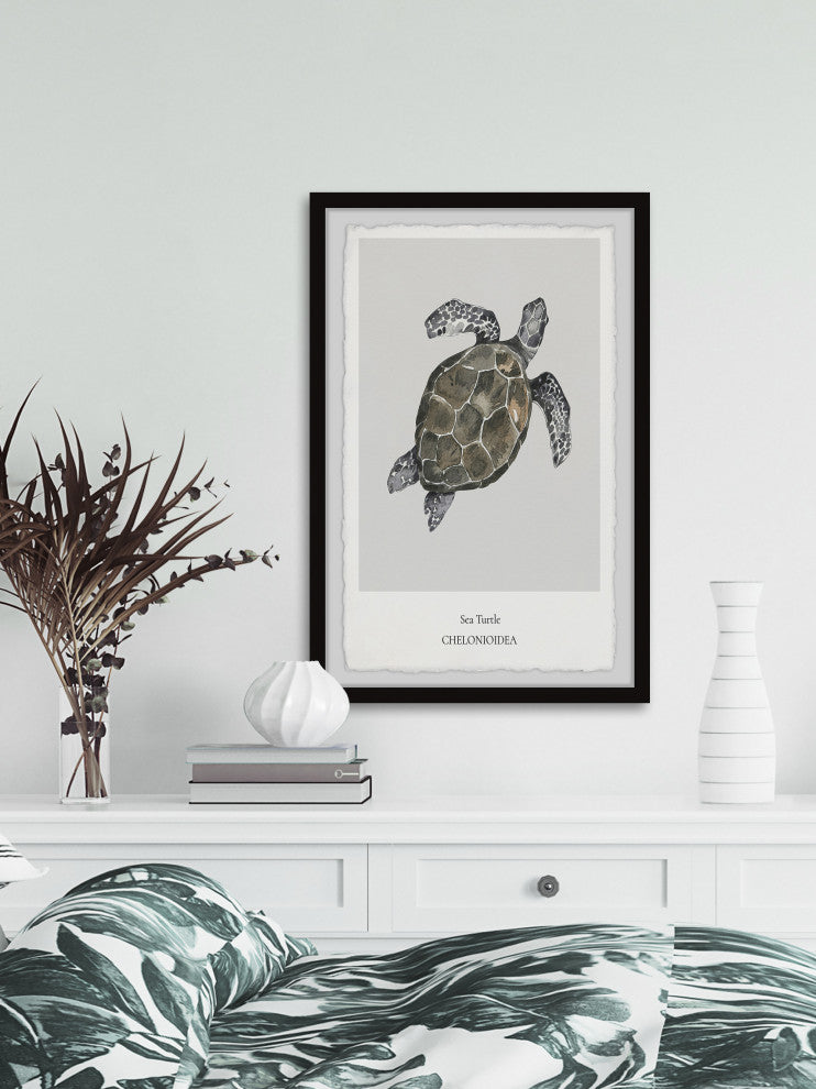"Chelonioidea" Framed Painting Print, 12x18