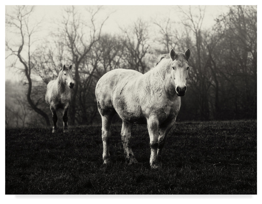 Aledanda 'Leading The Way Horses' Canvas Art