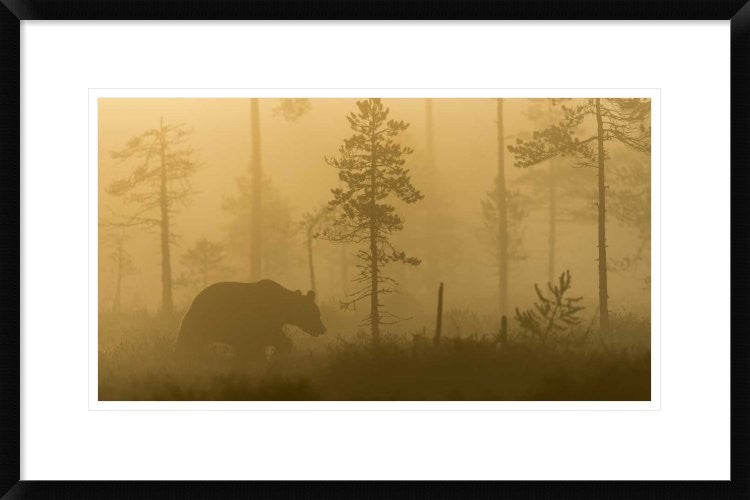 "Morning Fog" Framed Digital Print by Svein Ove Linde, 30"x20"